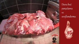 But parcalama ve siniflandirma