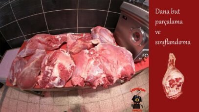 But parcalama ve siniflandirma