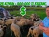 25 Koyundan YILDA 500.000 TL Kazanç | Köyde EN HIZLI PARA KAZANDIRAN HAYVAN ?