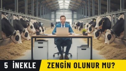 5 İnekle Zengin Olunur mu? #çiftlik #hayvancılık #çiftçilik #tarım #cow