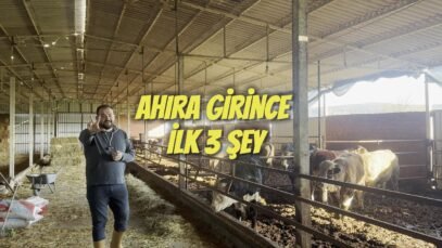 Ahıra Girince İlk 5 Dakikada Yapman Gereken 3 Hayati Kontrol