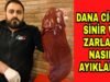DANA CİĞER SİNİR VE ZARLARI NASIL AYIKLANIR, ET NASIL İŞLENİR