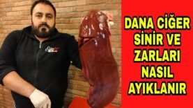 DANA CİĞER SİNİR VE ZARLARI NASIL AYIKLANIR, ET NASIL İŞLENİR