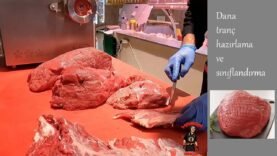 Dana Tranç işleme ve sınıflandırma