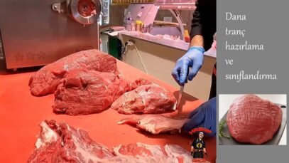 Dana Tranç işleme ve sınıflandırma