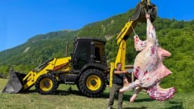 Deve Eti: Besin Profili, Biyoyararlanımı ve Sağlık Üzerindeki Etkileri