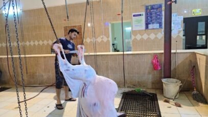 Deve eti kesimi, deri yüzme ve parçalama