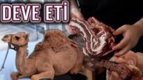 DEVE ETİ TADIYORUZ !!! (Deve Eti Yenir mi ? ) (First Time Camel Meat !!! ) Sizin İçin Tadıyoruz !!!