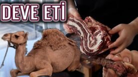 DEVE ETİ TADIYORUZ !!! (Deve Eti Yenir mi ? ) (First Time Camel Meat !!! ) Sizin İçin Tadıyoruz !!!