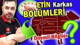 ETİN BÖLÜMLERİ VE ÖNEMLİ ÖZELLİKLERİ