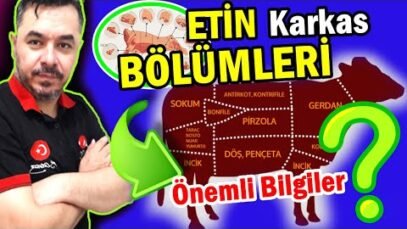 ETİN BÖLÜMLERİ VE ÖNEMLİ ÖZELLİKLERİ
