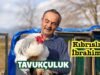 Kalkım’da Tavukçuluk Yapan Kıbrıslı İbrahim: Köye Göçün Hikayesi