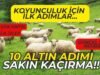 💥KOYUNCULUK İÇİN 10 ALTIN ADIM!🏆💰(📅 Güncel 2025 Rehberi)
