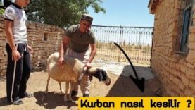 Kurban Nasıl Kesilir?