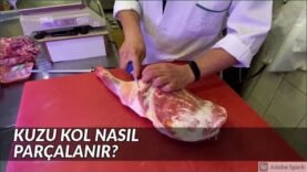 KUZU KOL SIYIRMA – Kuzu Kemiksiz