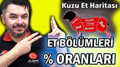 Kuzunun Et Bölümleri ve Karkas Parçalama