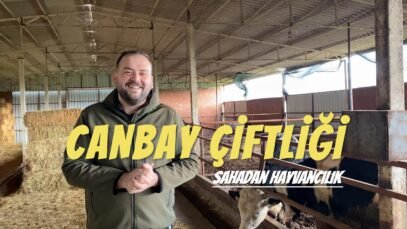 Sahadan Hayvancılık