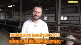 Besicilikte En Büyük Hata: Sürekliliği Kaybetmek!