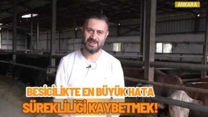 Besicilikte En Büyük Hata: Sürekliliği Kaybetmek!