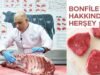 Bonfile Hakkında Herşey