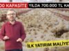 EN İYİ ET VERİMİNİ VEREN TAVUK | EN ÇOK TERCİH EDİLEN ET TAVUKLARI
