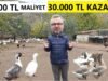 KAZ VE ÖRDEK YETİŞTİRİCİLİĞİ YAPARAK PARA KAZANMAK