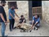 Kurban bayramı” kısa film