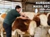 Kurbanlık dana nasıl seçilir? Kurbanlık alınırken nelere dikkat edilmeli?