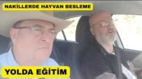 Nakledilen Hayvanlarda Sağlık Ve Besleme Yöntemi!