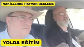 Nakledilen Hayvanlarda Sağlık Ve Besleme Yöntemi!