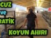 KOYUN AHIRI YAPACAKLARA UCUZ VE PRATİK BİLGİLER
