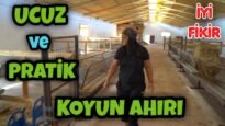 KOYUN AHIRI YAPACAKLARA UCUZ VE PRATİK BİLGİLER
