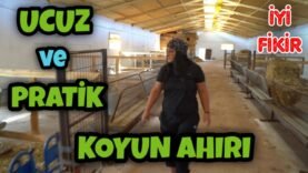 KOYUN AHIRI YAPACAKLARA UCUZ VE PRATİK BİLGİLER