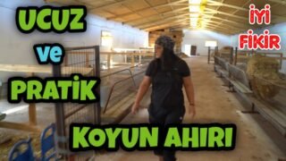 KOYUN AHIRI YAPACAKLARA UCUZ VE PRATİK BİLGİLER